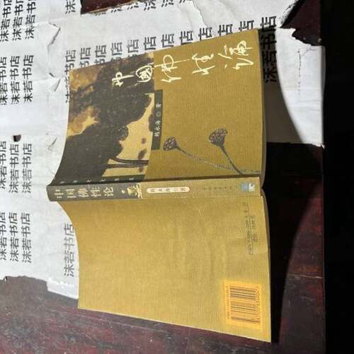 正版图书丨 中国佛性论  赖永海著 9787500634904