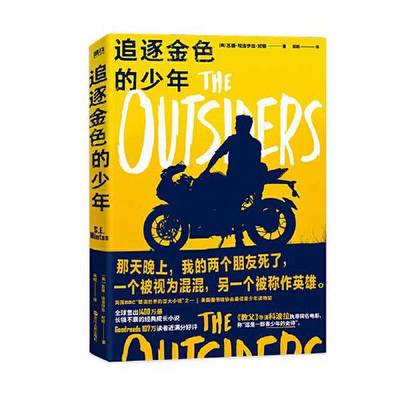 正版9成新图书丨 追逐金色的少年  苏珊·埃洛伊丝·欣顿 9787213103810