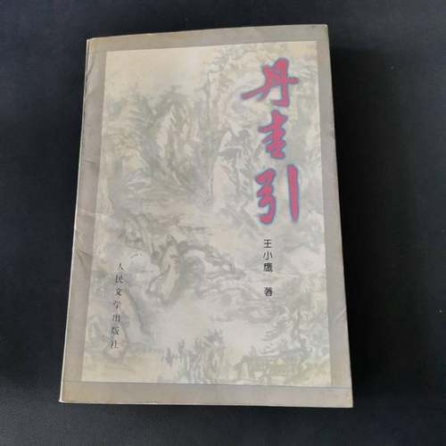 正版9成新图书丨 丹青引  王小鹰著 9787020024797