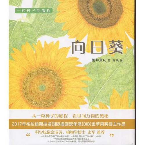 正版图书丨 一粒种子的旅程：向日葵  （日）荒井真纪著；黄锐 9787513326179