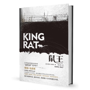 正版9成新图书丨 实拍图  鼠王  （英）柴纳·米耶维，何静 9787229120535