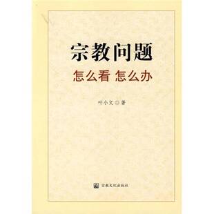 正版9成新图书丨 宗教问题怎么看怎么办  叶小文著 9787801238719
