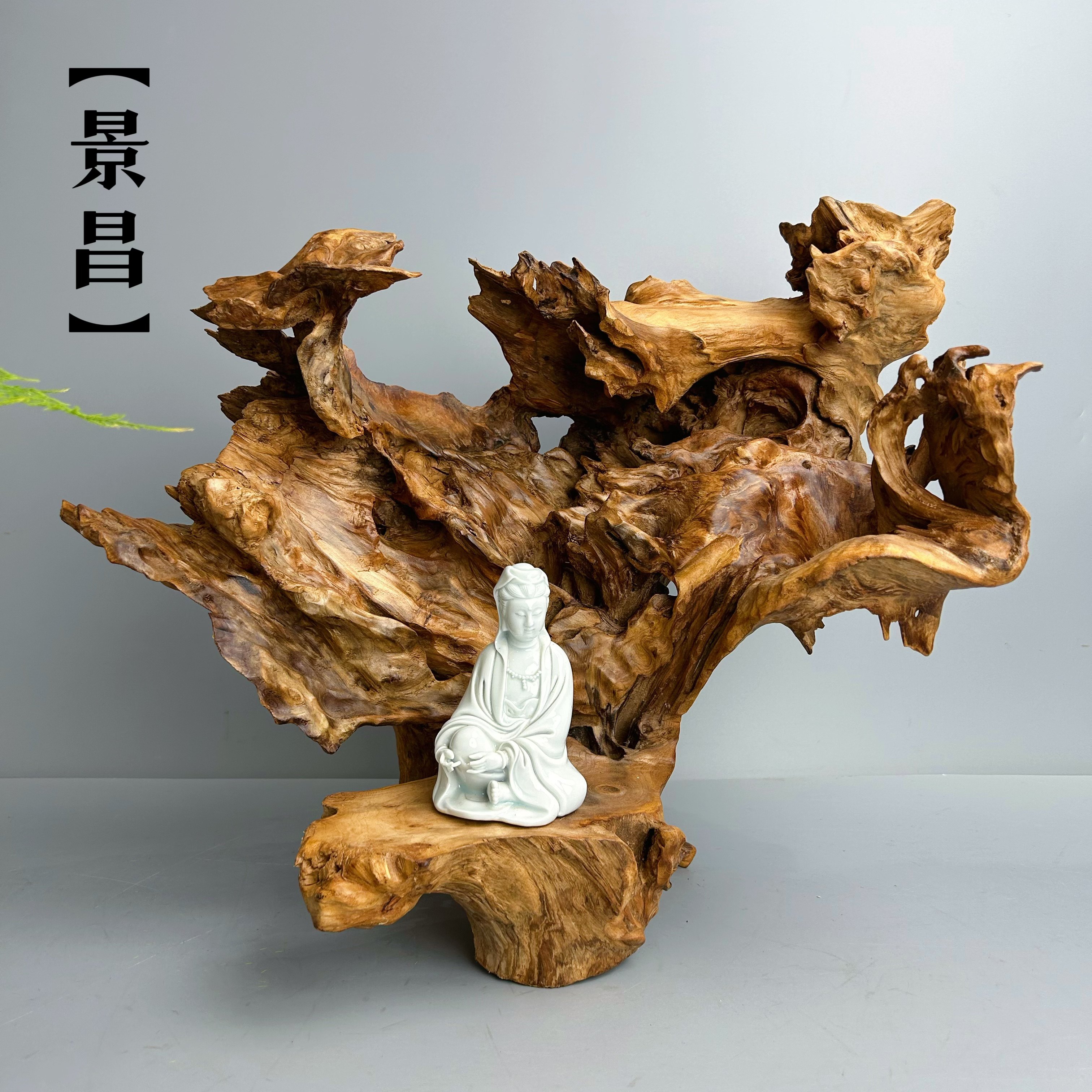 风化枯木槠木根雕摆件天然艺术品禅意底座随形老树新中式茶室景观