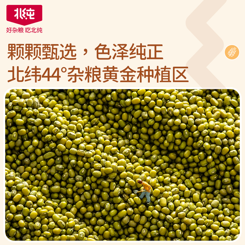 东北有机绿豆新货可发芽