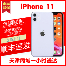 天津现货Apple/苹果 iPhone 11全网通4G国行全新未激活正品promax