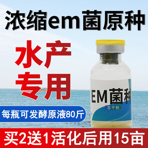 水产养殖水产乳酸杆菌维特微凡