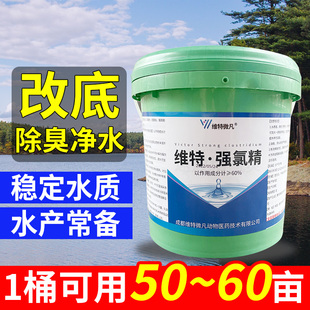 强氯精水产养殖含氯消毒剂鱼池龙虾塘杀菌除高藻效三氯异氰酸片剂