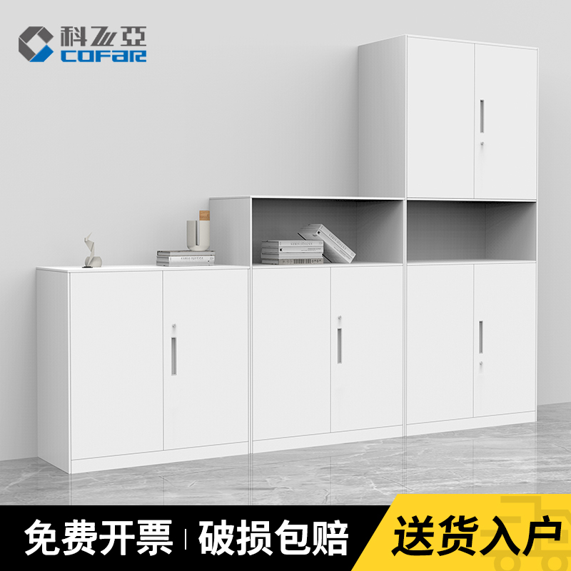 办公文件柜铁皮财务带锁