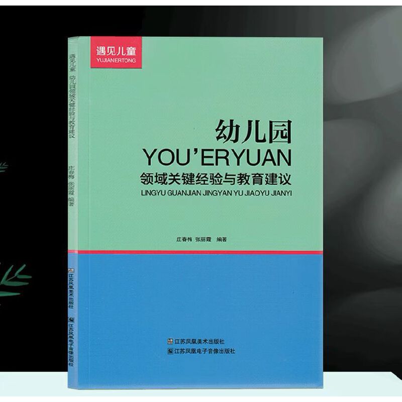 幼儿园领域关键经验与教育建议 遇见儿童 庄春梅 江苏凤凰美术出版社 五大领域关键经验结构图 教育建议幼儿园工作流程图解张欣编