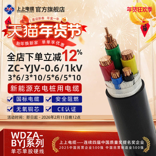 上上电缆 阻燃YJV 3芯5芯新能源汽车充电桩电缆线国标