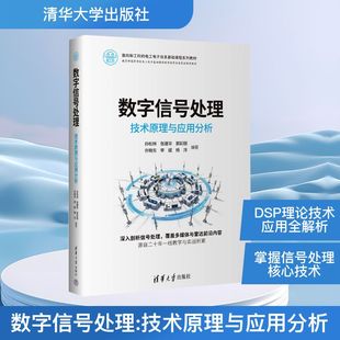 数字信号处理技术原理与应用分析 孙松林等 著 孙松林等 编 电子电路专业科技 新华书店正版图书籍 清华大学出版社