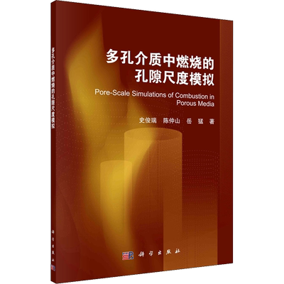 多孔介质中燃烧的孔隙尺度模拟 史俊瑞,陈仲山,岳猛 著 能源与动力工程专业科技 新华书店正版图书籍 科学出版社