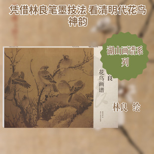 林良花鸟画谱 湖山书画 编 编 绘画（新）艺术 新华书店正版图书籍 浙江人民美术出版社