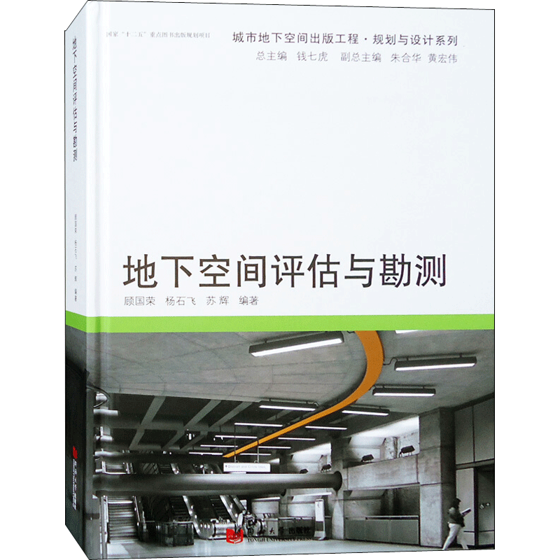 地下空间评估与勘测 顾国荣,杨石飞,苏辉 编著 著作 建筑/水利（新）专业科技 新华书店正版图书籍 同济大学出版社