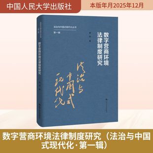 数字营商环境法律制度研究（法治与中国式现代化·第一辑） 李燕 著 著 大学教材社科 新华书店正版图书籍 中国人民大学出版社