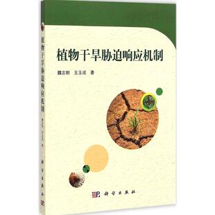 植物干旱胁迫响应机制 魏志刚,王玉成 著 著 生命科学/生物学专业科技 新华书店正版图书籍 科学出版社