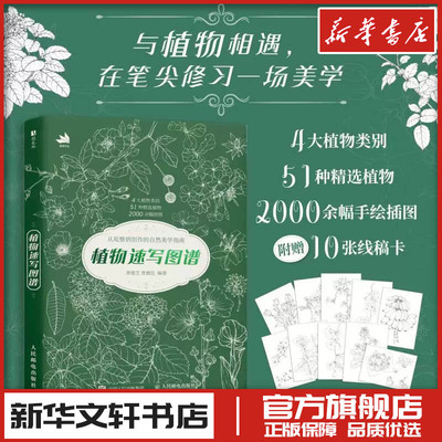植物速写图谱 胥德芝,胥德连 编著 编 绘画（新）艺术 新华书店正版图书籍 人民邮电出版社