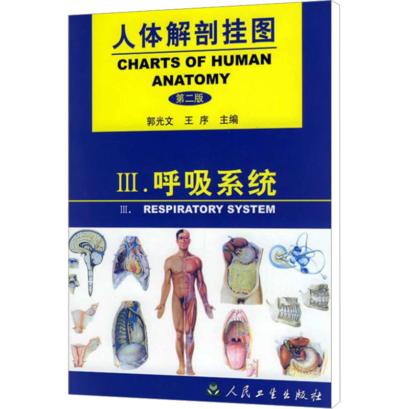 呼吸系统//人体解剖挂图(第2版) 郭光文,王序 编 外科学生活 新华书店正版图书籍 人民卫生出版社