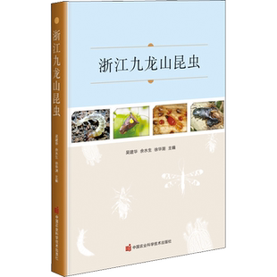 浙江九龙山昆虫 吴建华,余水生,徐华潮 编 统计 审计专业科技 新华书店正版图书籍 中国农业科学技术出版社