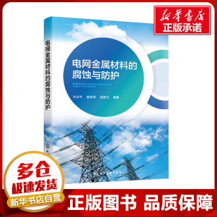 电子电路专业科技 社 朱志平 化学工业出版 图书籍 新华书店正版 编 胡家元 喻林萍 腐蚀与防护 电网金属材料