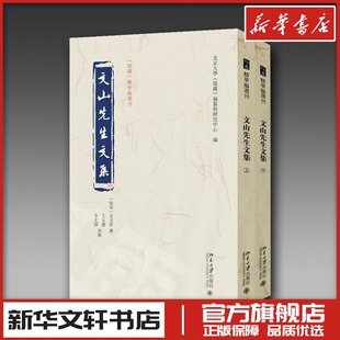 文山先生文集 文天祥 撰, 王玉德,李文涛 校点, 北京大学《儒藏》编纂与研究中心 编 著 中国古代随笔文学 新华书店正版图书籍