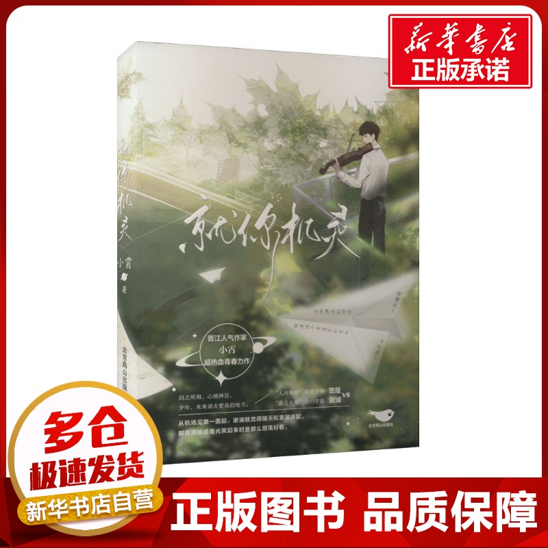 新华书店正版 青春小说