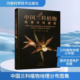 中国兰科植物地理分布图集 金效华,周志华,叶超 编著 编 生命科学/生物学专业科技 新华书店正版图书籍 河南科学技术出版社
