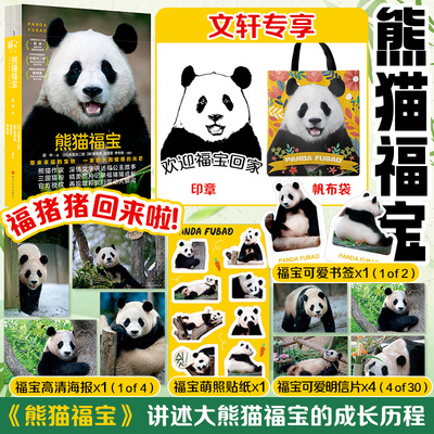 赠帆布包+可爱书签+萌照贴纸 熊猫福宝书 蒋林 熊猫图鉴摄影图册科普成长历程知识问答 正版图书书籍畅销书 四川人民出版社