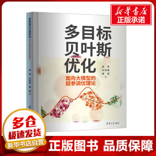 多目标贝叶斯优化 面向大模型的超参调优理论 徐华,王洪燕,袁源 著 自动化技术大中专 新华书店正版图书籍 清华大学出版社