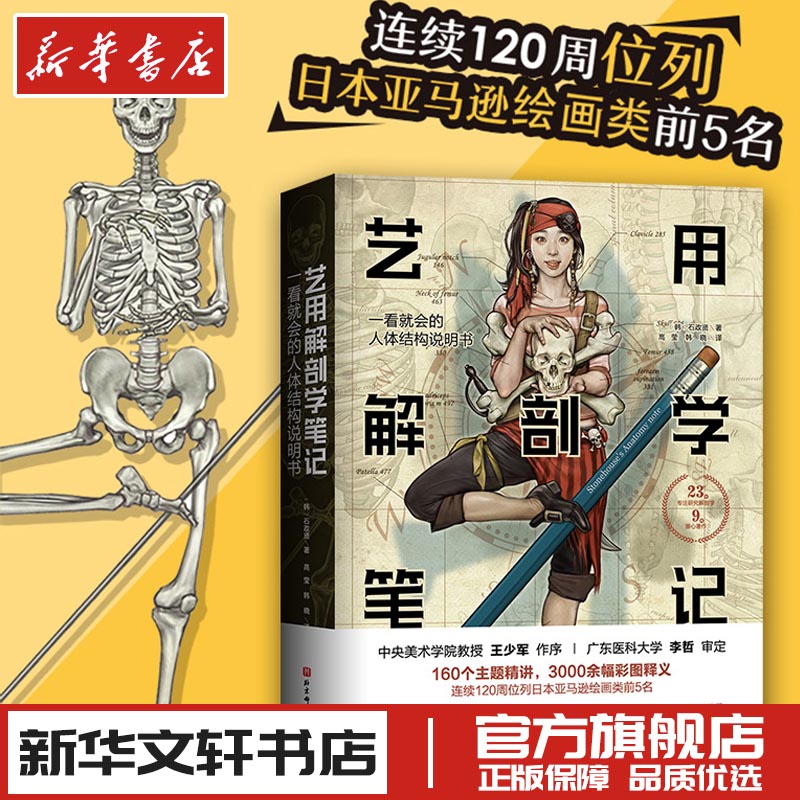 艺用解剖学笔记 石政贤 人体美术素描画画静物透视画法初学者入门基础教程教材书结构原理造型手绘技法教学绘画书籍 新华书店正版