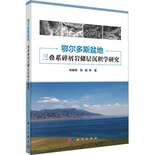 鄂尔多斯盆地三叠系碎屑岩储层沉积学研究 林春明 等 著 冶金工业专业科技 新华书店正版图书籍 科学出版社