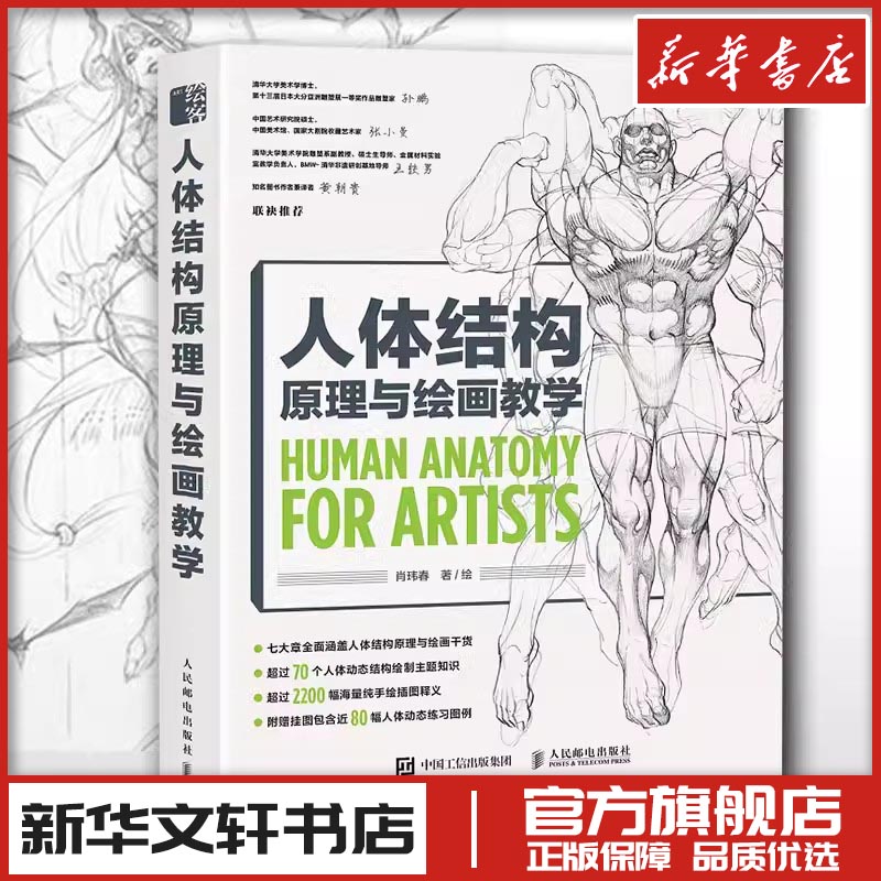 人体结构原理与绘画教学肖玮春美术素描画画静物透视画法初学者