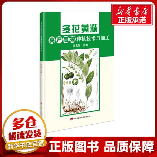 多花黄精高产高效种植技术与加工 陈龙胜 编 农业基础科学专业科技 新华书店正版图书籍 中国农业科学技术出版社