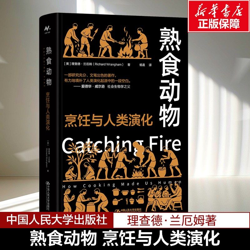 熟食动物 烹饪与人类演化 理查德·兰厄姆著 人类的演化与全球扩散 生食熟食 祖先饮食 当代世界 饮食习惯 新华书店正版图书籍,书籍/杂志/报纸,科学研究方法论,淘宝优惠券,粉丝福利购,淘宝优惠卷