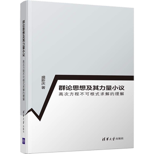 群论思想及其力量小议 高次方程不可根式求解的理解 盛新庆 著 大学教材专业科技 新华书店正版图书籍 清华大学出版社