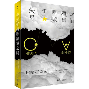 失足于两颗星星之间 巴略霍诗选 (秘)塞萨尔·巴略霍 编 赵振江 译 现代/当代文学文学 新华书店正版图书籍 北京大学出版社