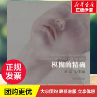 模糊的精确:应金飞作品 应金飞 著编著 自由组合套装艺术 新华书店正版图书籍 中国美术学院出版社 thumbnail 3
