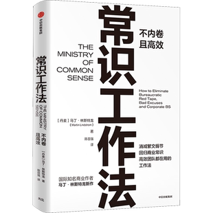常识工作法 马丁林斯特龙著 商业财富密码 高效不内卷的工作法消减繁文缛节回归商业常识 企业管理 华尔街日本畅销书 中信出版社