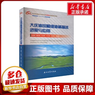 大庆油田精细油藏描述进展与应用 白军辉 等 编 石油 天然气工业专业科技 新华书店正版图书籍 石油工业出版社