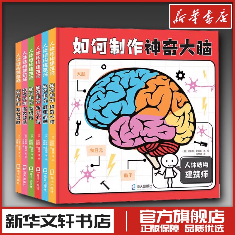 人体结构建筑师(全6册) (英)柯斯蒂·霍姆斯 著 冯常娜 译 工艺美术（新）少儿 新华书店正版图书籍 海天出版社