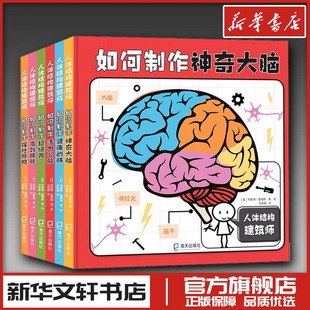 人体结构建筑师(全6册) (英)柯斯蒂·霍姆斯 著 冯常娜 译 工艺美术(新)少儿 新华书店正版图书籍 海天出版社