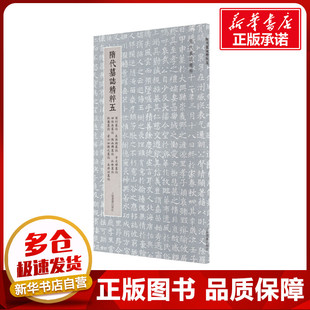 隋代墓志精粹五 梁衍墓志 长孙懿墓志 宇文穆墓志 田保洛墓志 陈叔兴墓志 杜琳墓志 杜 上海书画出版社 编 书法/篆刻/字帖书籍