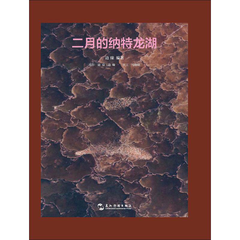 二月的纳特龙湖 边缘 编著 工艺美术(新)艺术 新华书店正版图书籍 五洲传播出版社