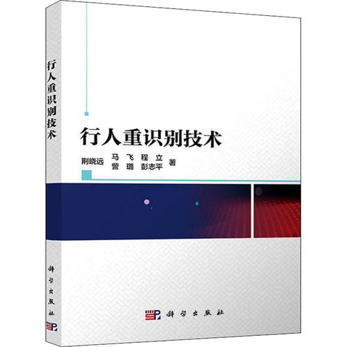 行人重识别技术 荆晓远 等 著 高等成人教育大中专 新华书店正版图书籍 科学出版社