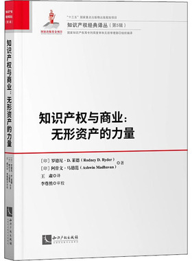 知识产权与商业:无形资产的力量 (印)罗德尼·D.莱德(Rodney D.Ryder),(印)阿什文·马德范(Ashwin Madhavan) 著 王肃 译