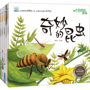 大自然的奥秘 科学探索绘本(全5册) 周冲 编 绘本/图画书/少儿动漫书少儿 新华书店正版图书籍 长江出版社