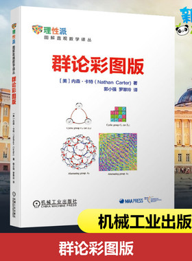 群论彩图版 内森 卡特 郭小强 罗翠玲 初级课程 观察魔方 晶体学 数字群 代数定义 青少年数列微积分解析几何数学建模趣味数学学习