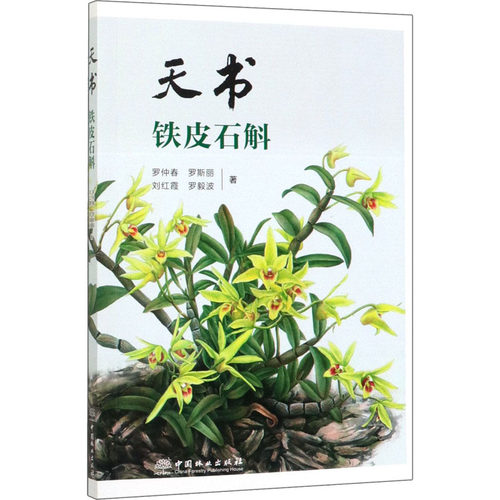 新华书店正版 科技综合