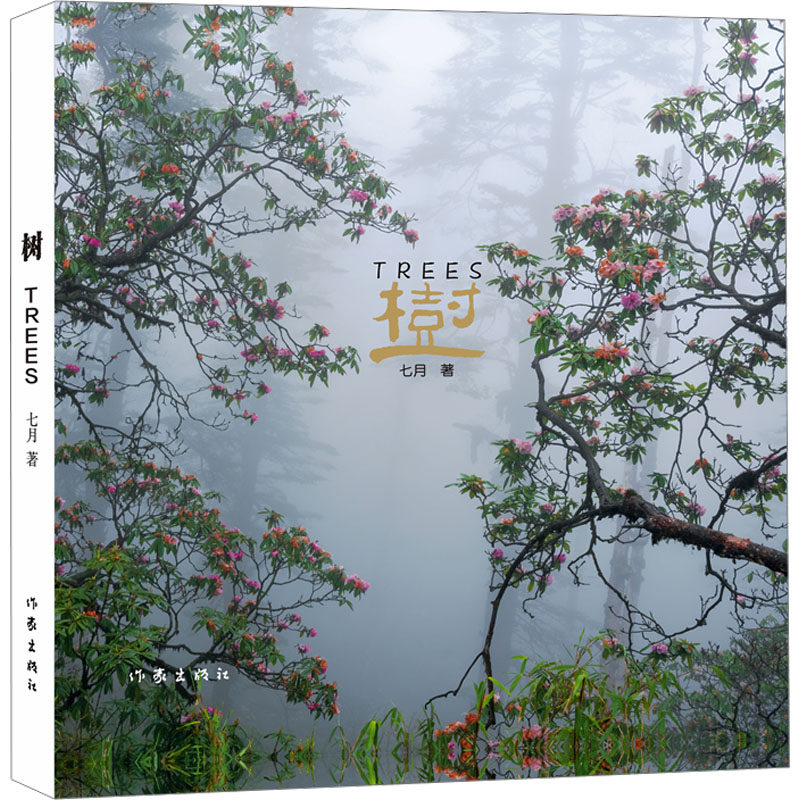 树 七月 著 著 旅游摄影/画册艺术 新华书店正版图书籍 作家出版社