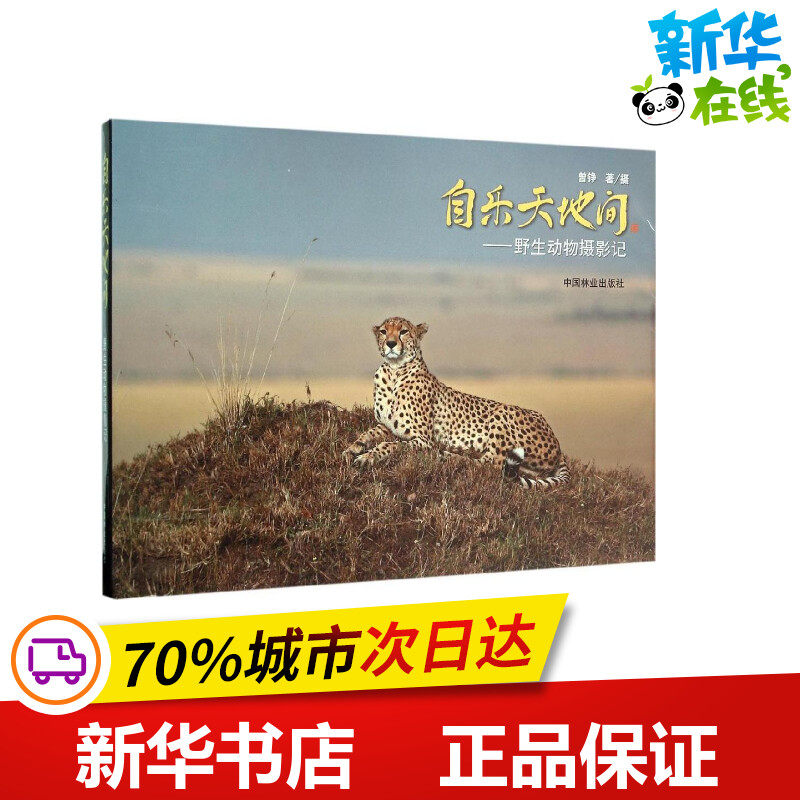 自乐天地间 曾铮 著摄 航空航天专业科技 新华书店正版图书籍 中国林业出版社